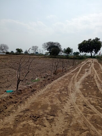 Plot Area in  Plot at Jewar – for Sale