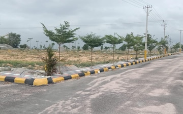 Plot For Sale in Yapral