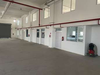 Commercial Warehouse 10000 Sq.Yd. For Rent in Udyog Vihar Phase 4 Gurgaon  7276754