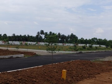 Plot Area in  Plot at Bhogapuram – for Sale