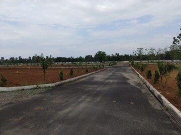 Plot Area in  Plot at Bhogapuram – for Sale