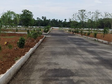 Plot Area in  Plot at Bhogapuram – for Sale