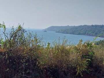  Plot For Sale in Sawantwadi