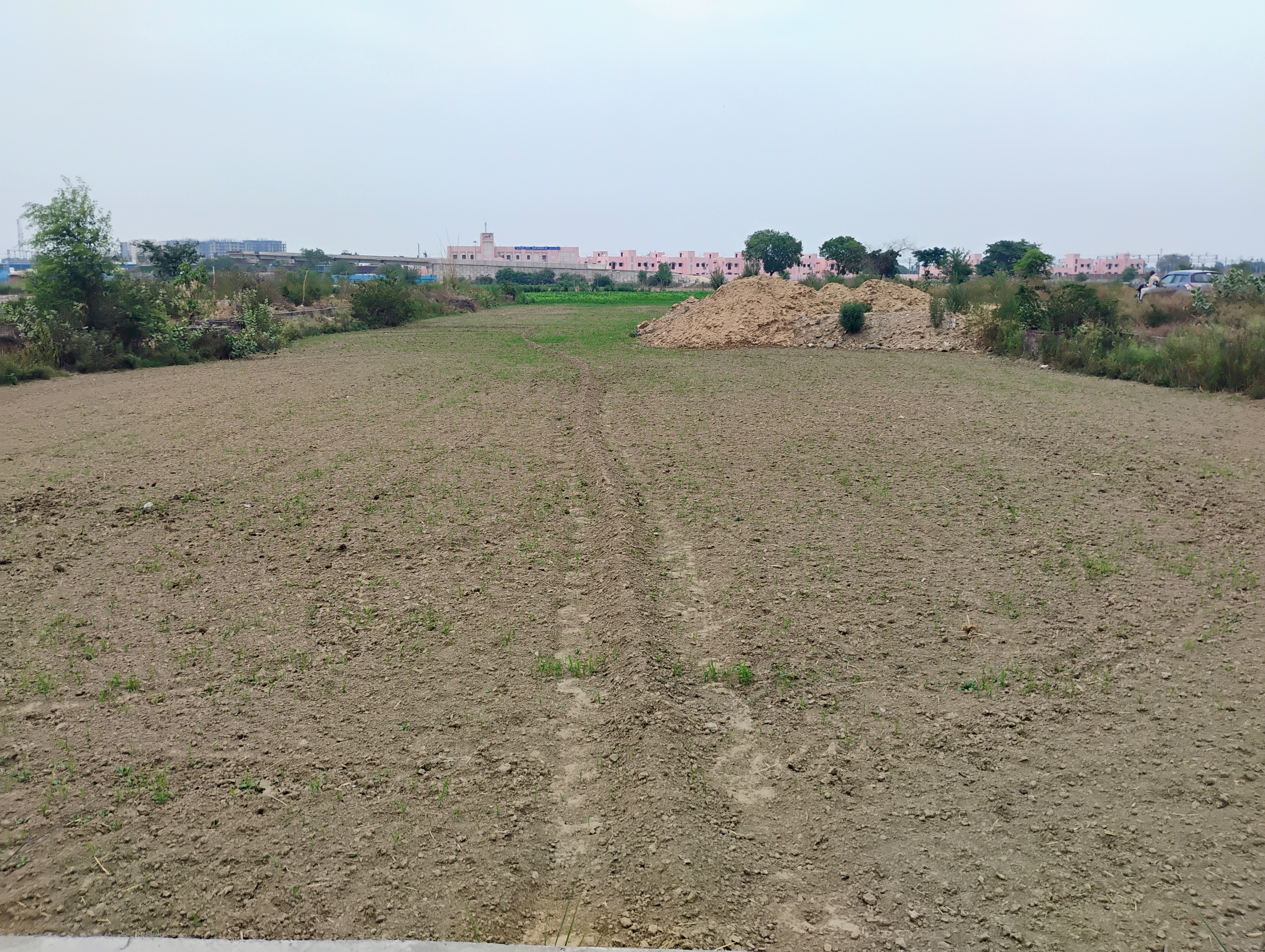 Plot For Resale in Sector Mu 2, Greater Noida Greater Noida  7277406