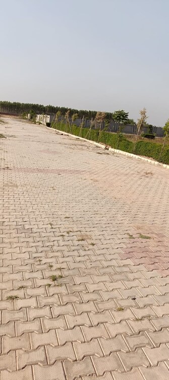 Plot For Resale in ATS Golf Meadows Central Derabassi Chandigarh  7277593