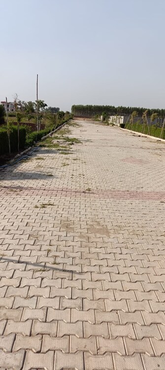 Plot For Resale in ATS Golf Meadows Central Derabassi Chandigarh  7277593