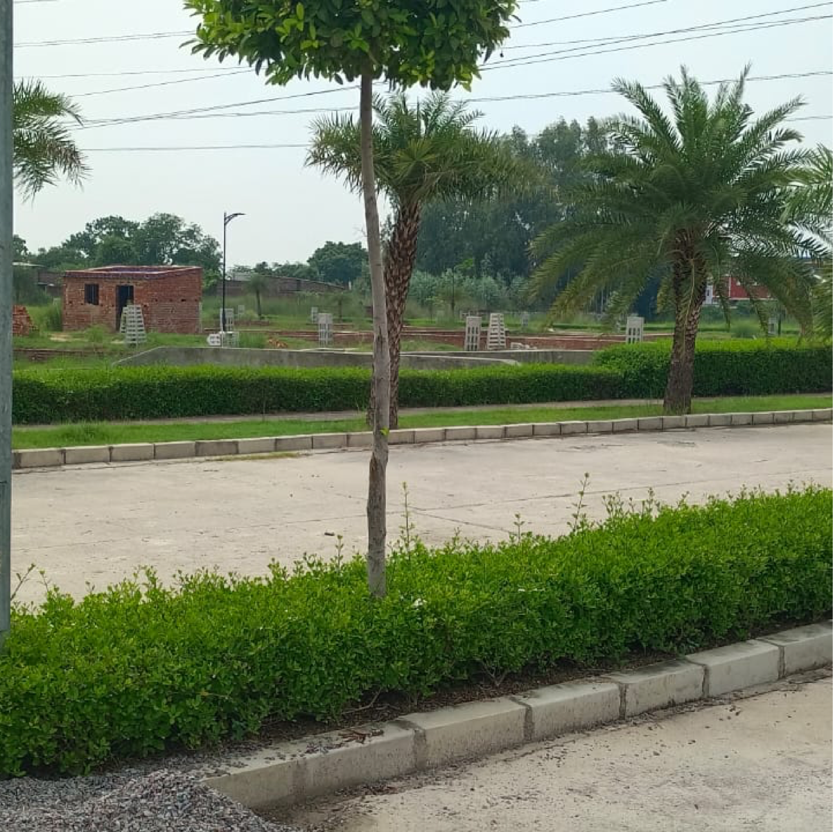 Plot For Resale in Sultanpur Road Lucknow  7277990