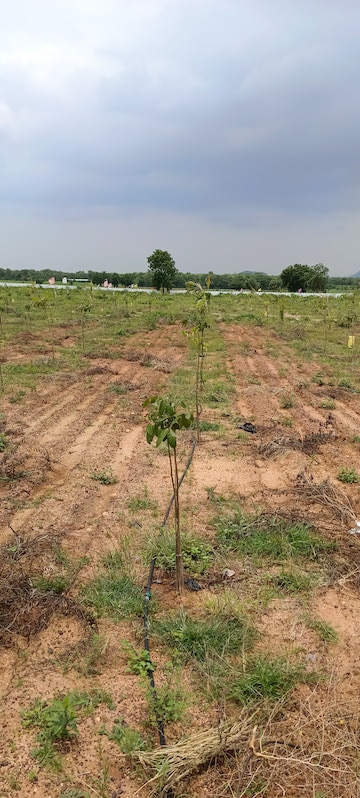 Plot For Resale in Nandigama Vijayawada  7278108