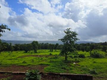 Plot Area in  Plot at Mangaon – for Sale