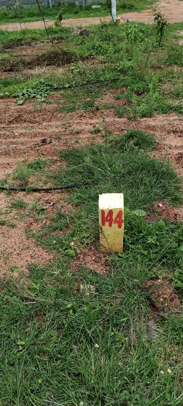 Plot Area in  Plot at Nandigama – for Sale