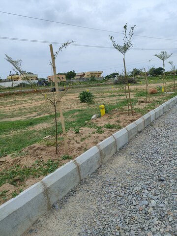 Plot Area in  Plot at Bibinagar – for Sale
