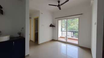 2 BHK Apartment For Rent in Whitefield Bangalore  7278720
