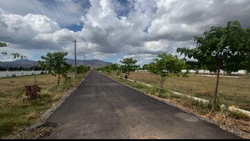 Plot For Resale in Yellamandyam Tirupati  7278768