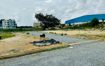 Plot For Sale in Ck Palya