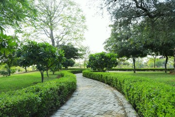  Plot – Garden View at Sirsi Road - for Sale