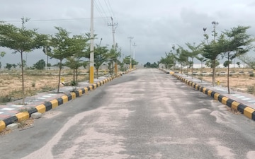 Plot For Sale in Dawoodkhanguda
