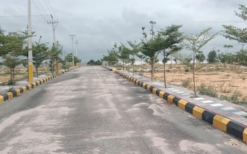 Plot For Sale in Dayara