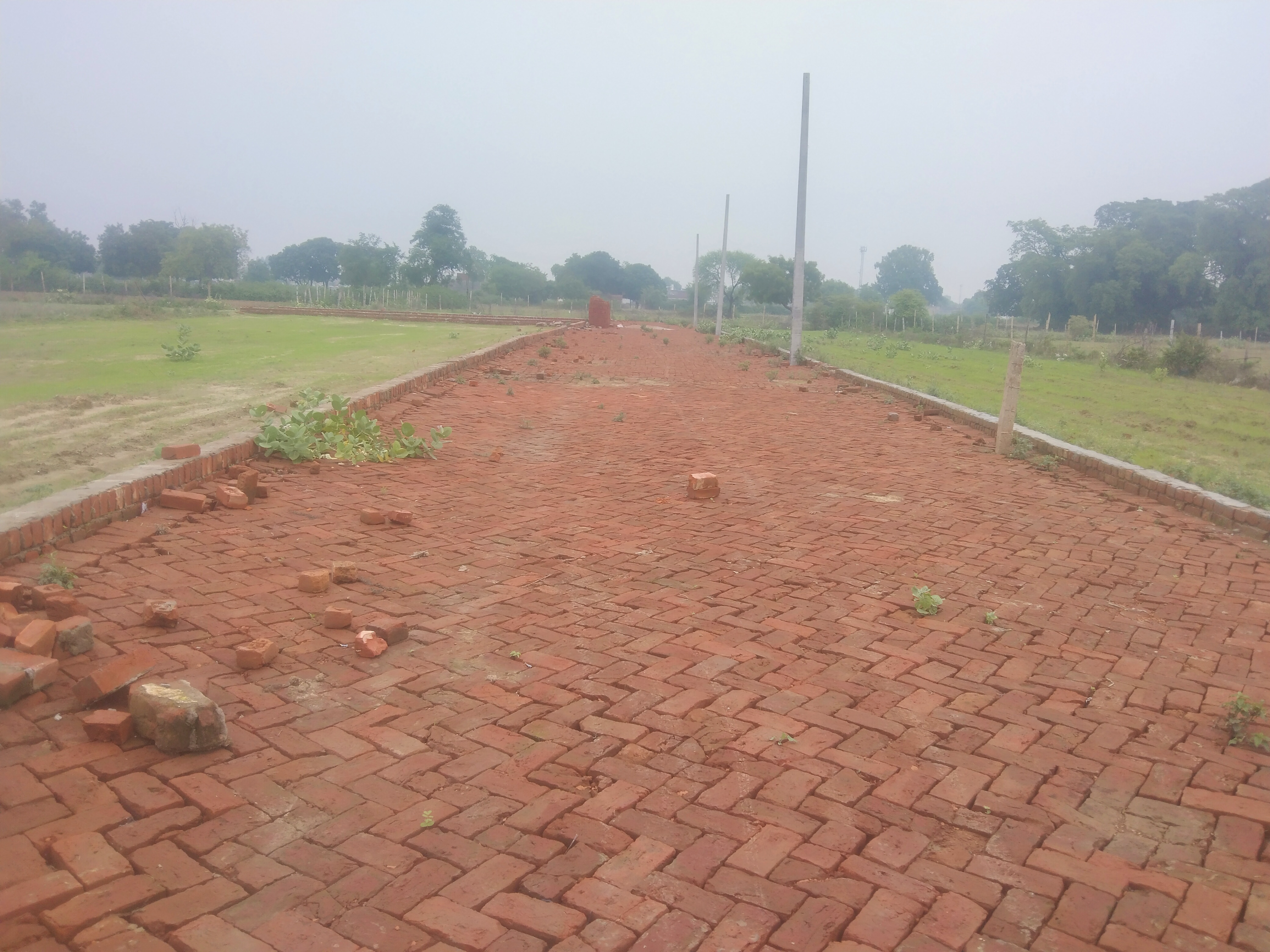 Plot For Resale in Kamta Lucknow  7280910