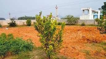Plot For Resale in Simhachalam Vizag  6871229