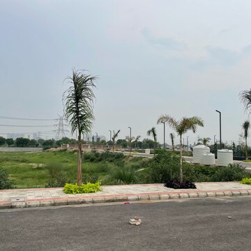 Plot Area in  Plot at Adani Tatva Estates, Sector 99a – for Sale