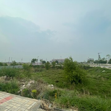 Plot Area in  Plot at Adani Tatva Estates, Sector 99a – for Sale