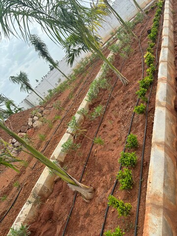  Plot – Exterior View View at Sri Bhumi Eeshaanya, Kankipadu - for Sale