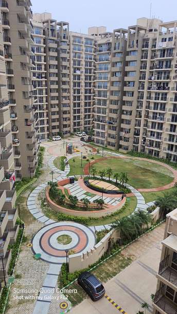 1 BHK Apartment For Rent in Signature Global Grand Iva Sector 103 Gurgaon  7282084