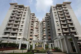 3 BHK Apartment For Rent in Sobha Ivory Pune Kondhwa Pune  7282234