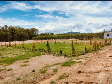 Plot Area in  Plot at Gill Colony – for Sale