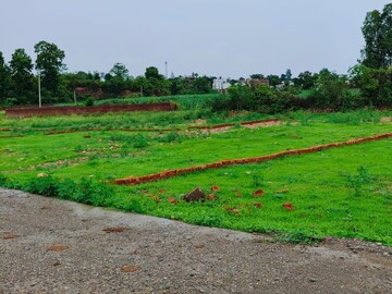 Plot Area in  Plot at Gill Colony – for Sale