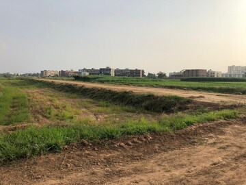 Plot Area in  Plot at Sector 127 – for Sale