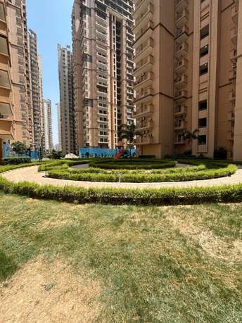 3 BHK Apartment For Resale in Dev Sai Sports Homes Noida Ext Sector 1 Greater Noida  7282320