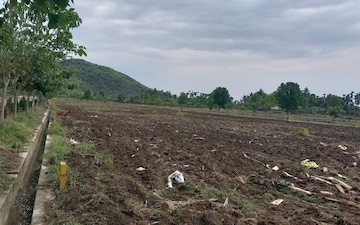 Plot For Sale in Tagarapuvalasa
