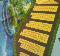Plot For Sale in Chepalappada