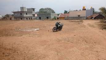 Plot For Resale in Denkanikottai Hosur  7282355