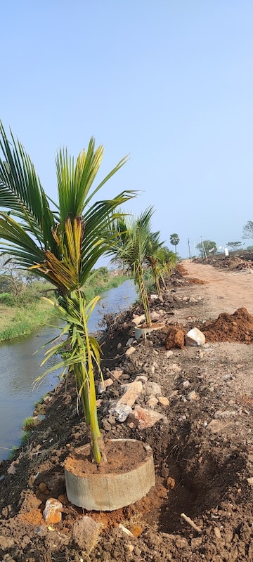  Plot – Garden View at Sri Bhumi Eeshaanya, Kankipadu - for Sale