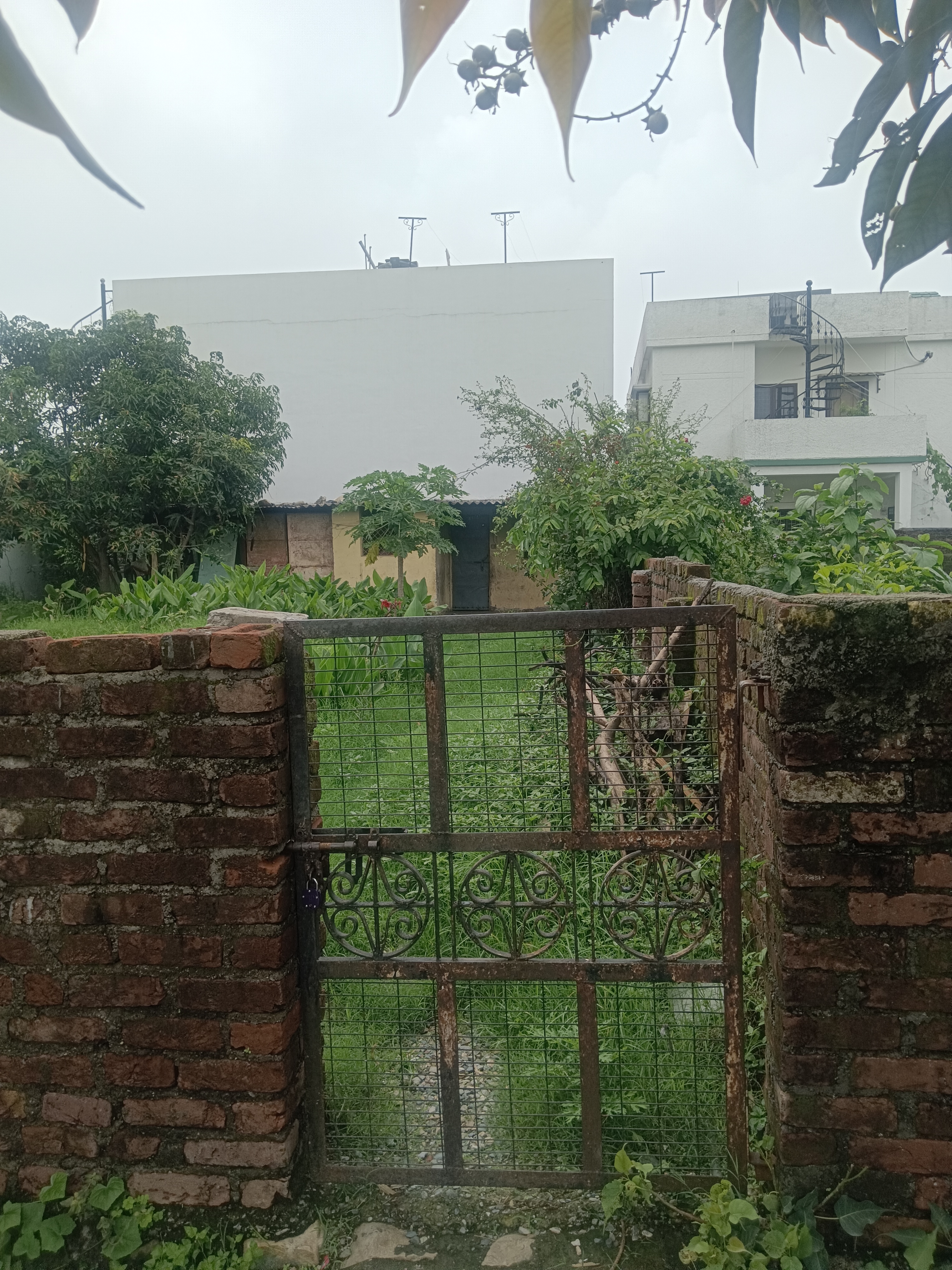 Plot For Resale in East Canal Road Dehradun  7283767