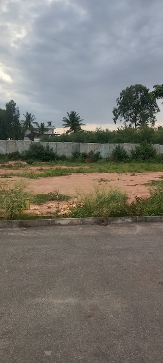 Plot For Resale in Manpho Greens Dasanayakanahalli Bangalore  7283967