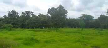 Plot For Resale in Mangaon Raigad  7284055