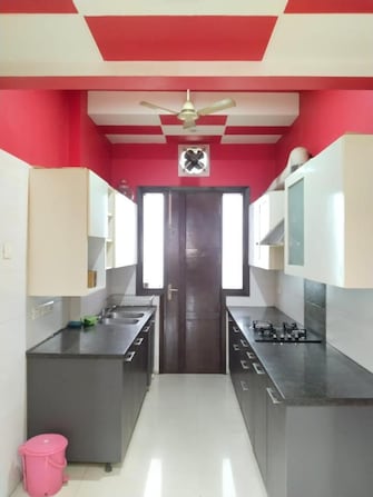 3 BHK Builder Floor For Rent in Suncity Township Gurgaon Sector 54 Gurgaon  7284196