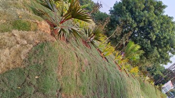 Plot – Garden View at Adibatla - for Sale