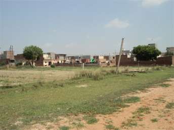 Plot For Resale in Sector 52 Faridabad  7258795