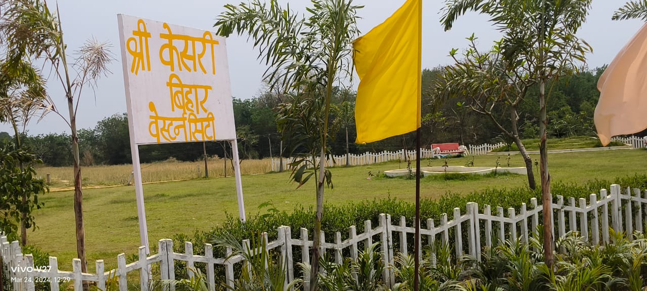 Plot For Resale in Sultanpur Road Lucknow  7284476