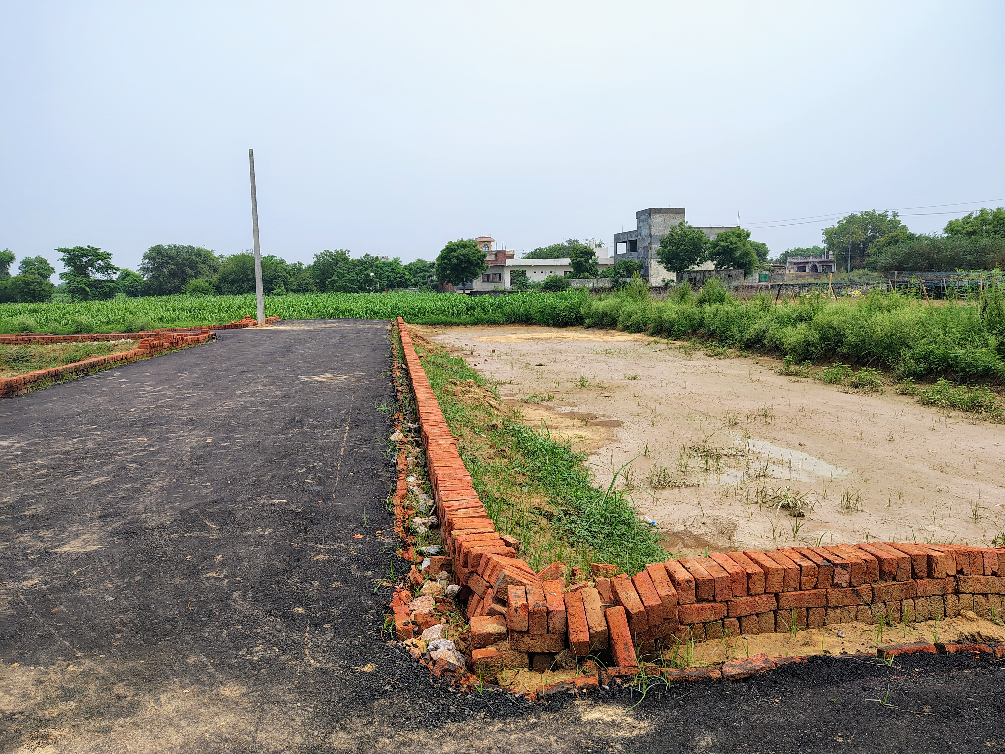 रेसिडेंशियल प्लॉट वर्ग यार्ड फॉर रीसेल इन दादरी ग्रेटर नोएडा  7284551