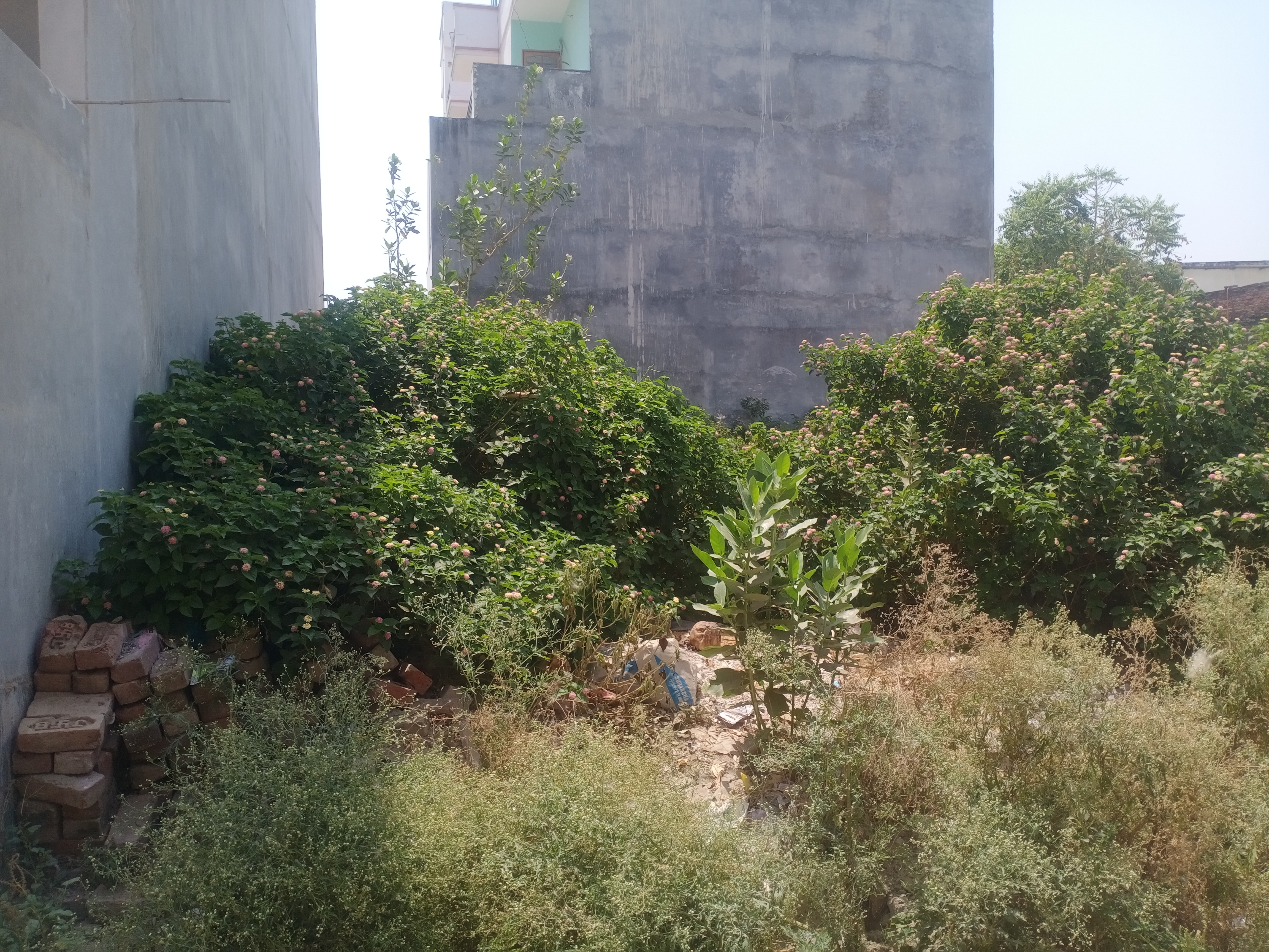 Plot For Resale in South City Lucknow  7284651