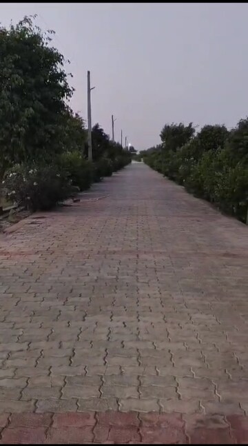  Plot – Exterior View View at Mohanlalganj - for Sale