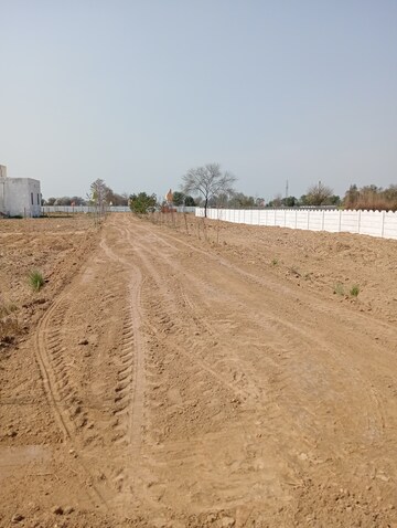 Plot For Sale in Chhata