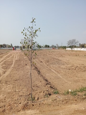 Plot Area in  Plot at Chhata – for Sale