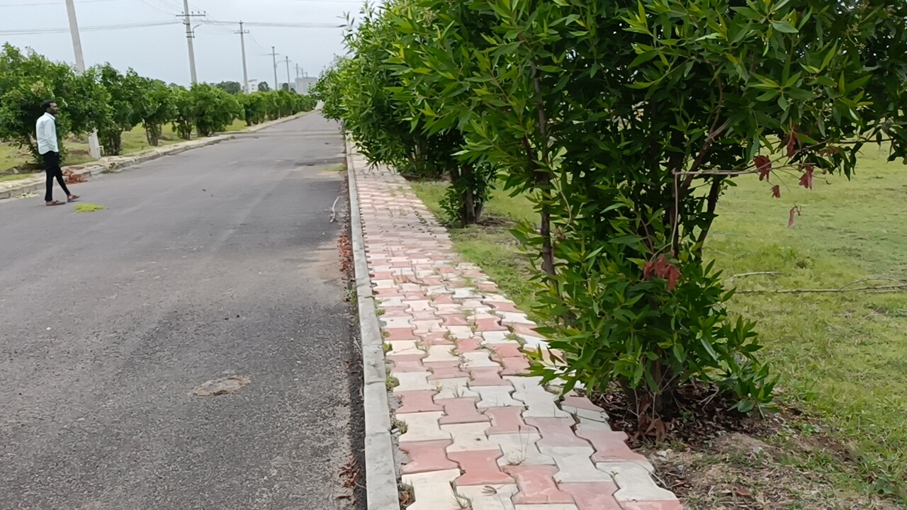 Plot For Resale in Peram Aditya Jewel Dundigal Hyderabad  7285087