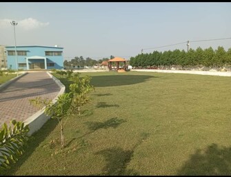 Plot For Resale in Seepat Road Bilaspur  7285762